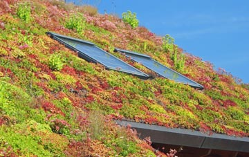 Rushyford living roof systems