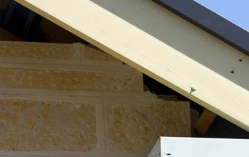 soffit repair Rushyford